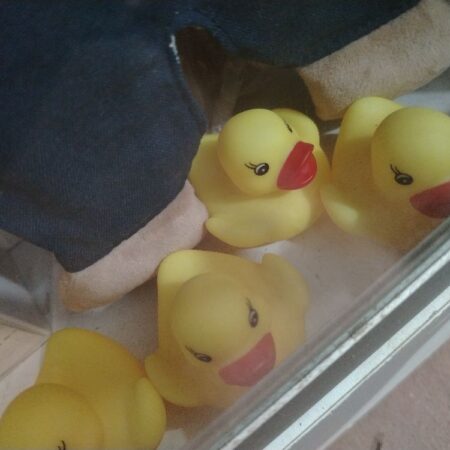 Pato carton venta x una unidad........venta x una unidad