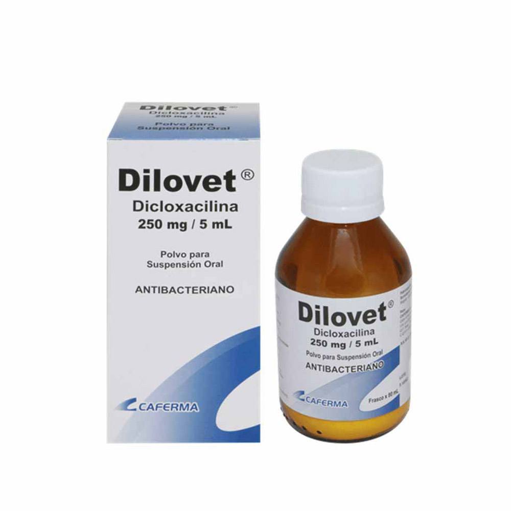 Dilovet (dicloxacilina 250 Mg/5 Ml)...venta X 1unidad: imagen 1